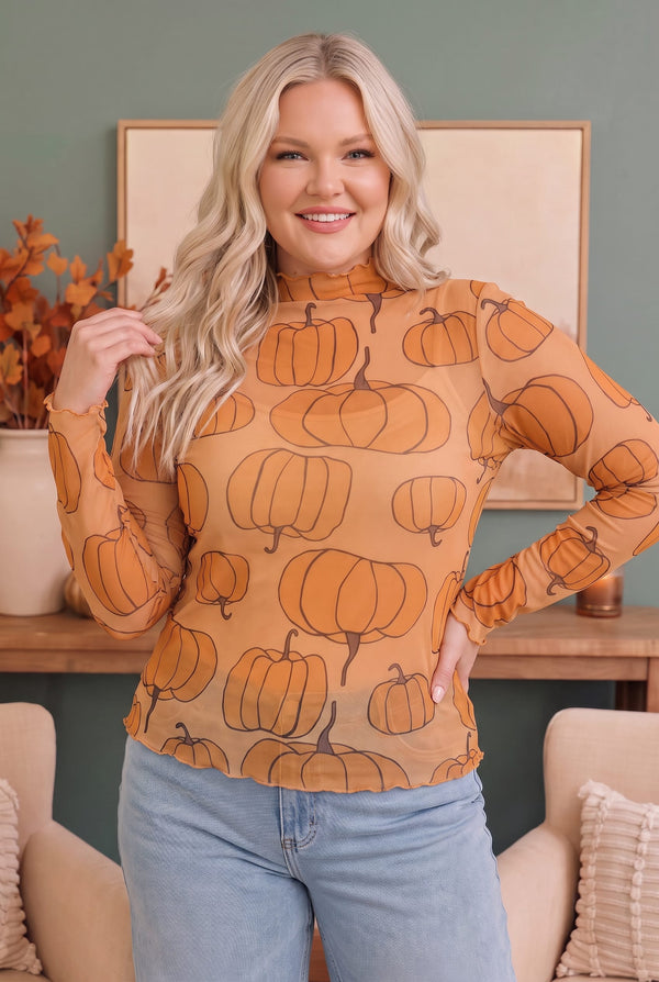 Pumpkin Patch Mesh Mock Neck Top